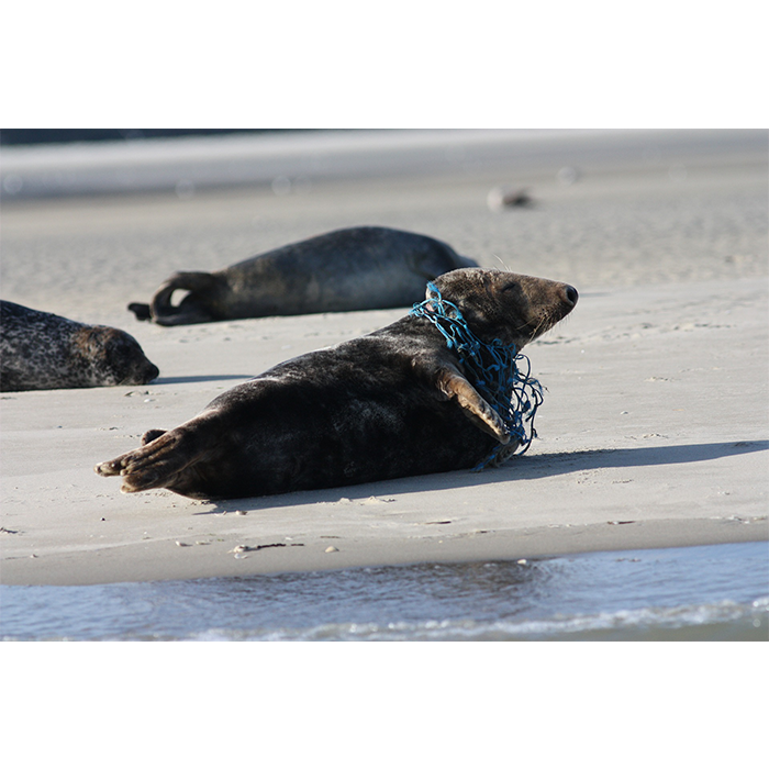 La planète polluée